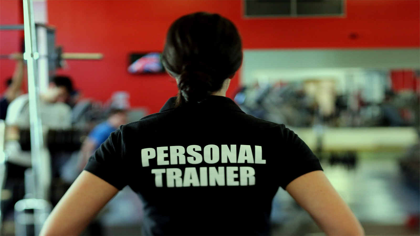 We Train You in Languages!
